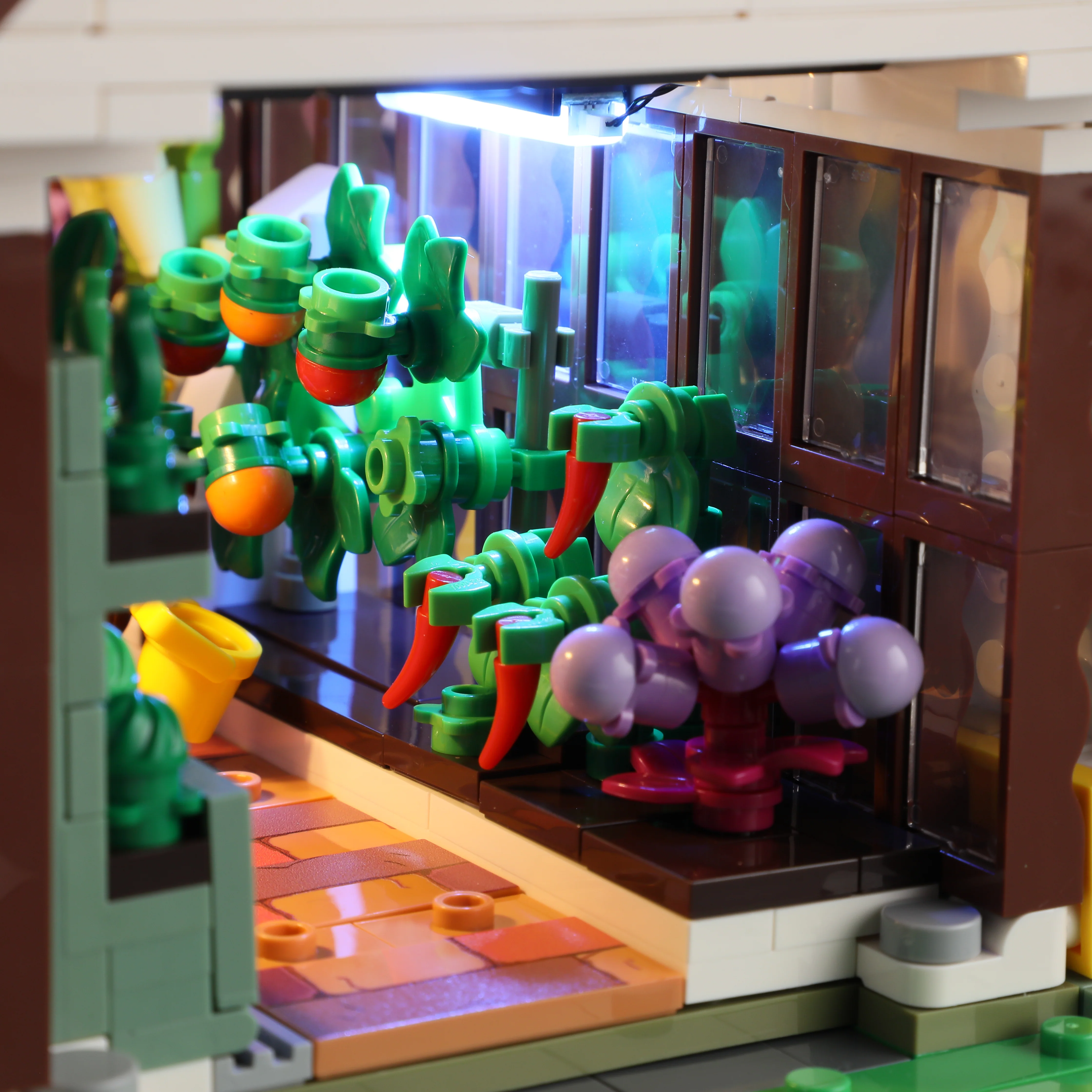 Home Greenhouse - Image 10
