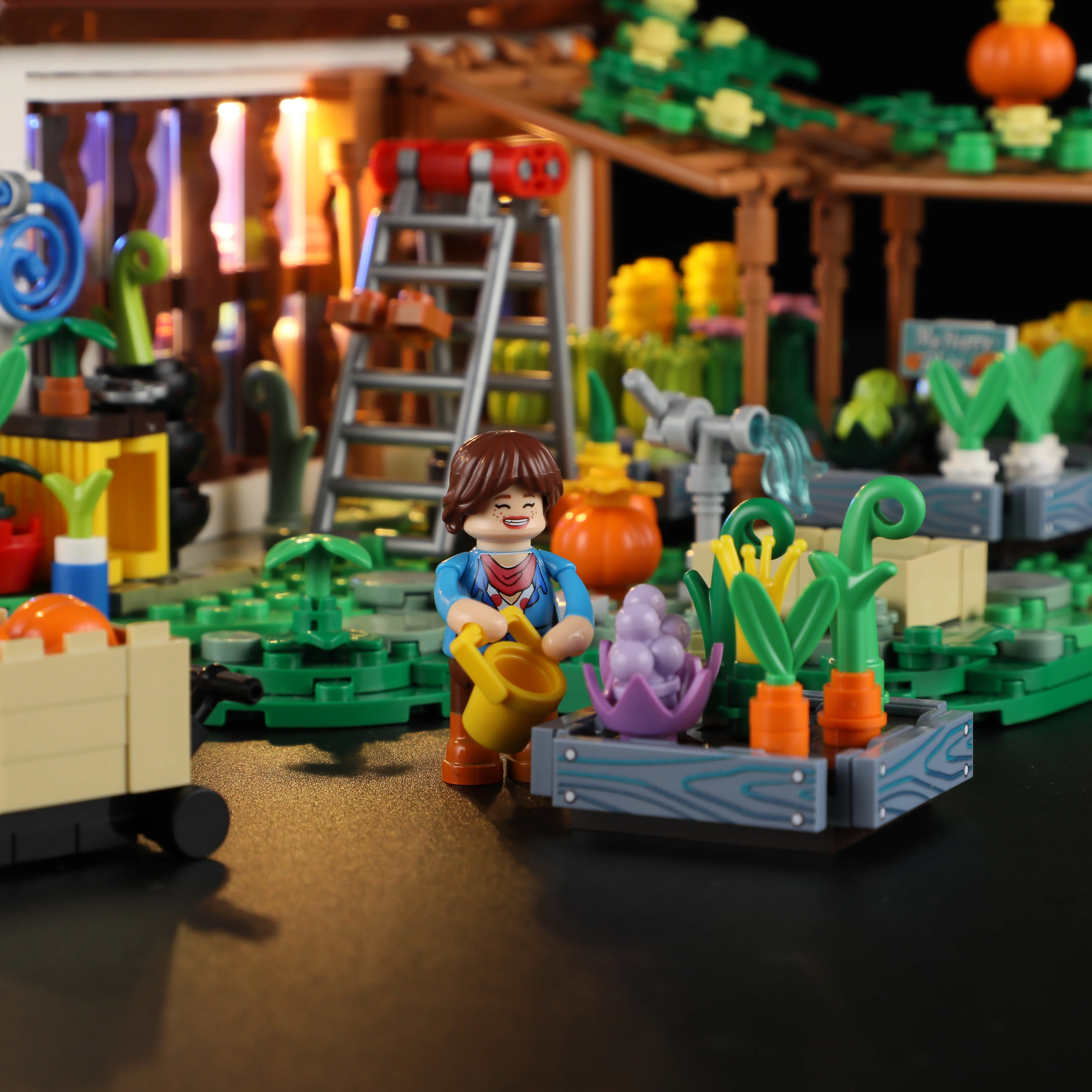 Home Greenhouse - Image 5