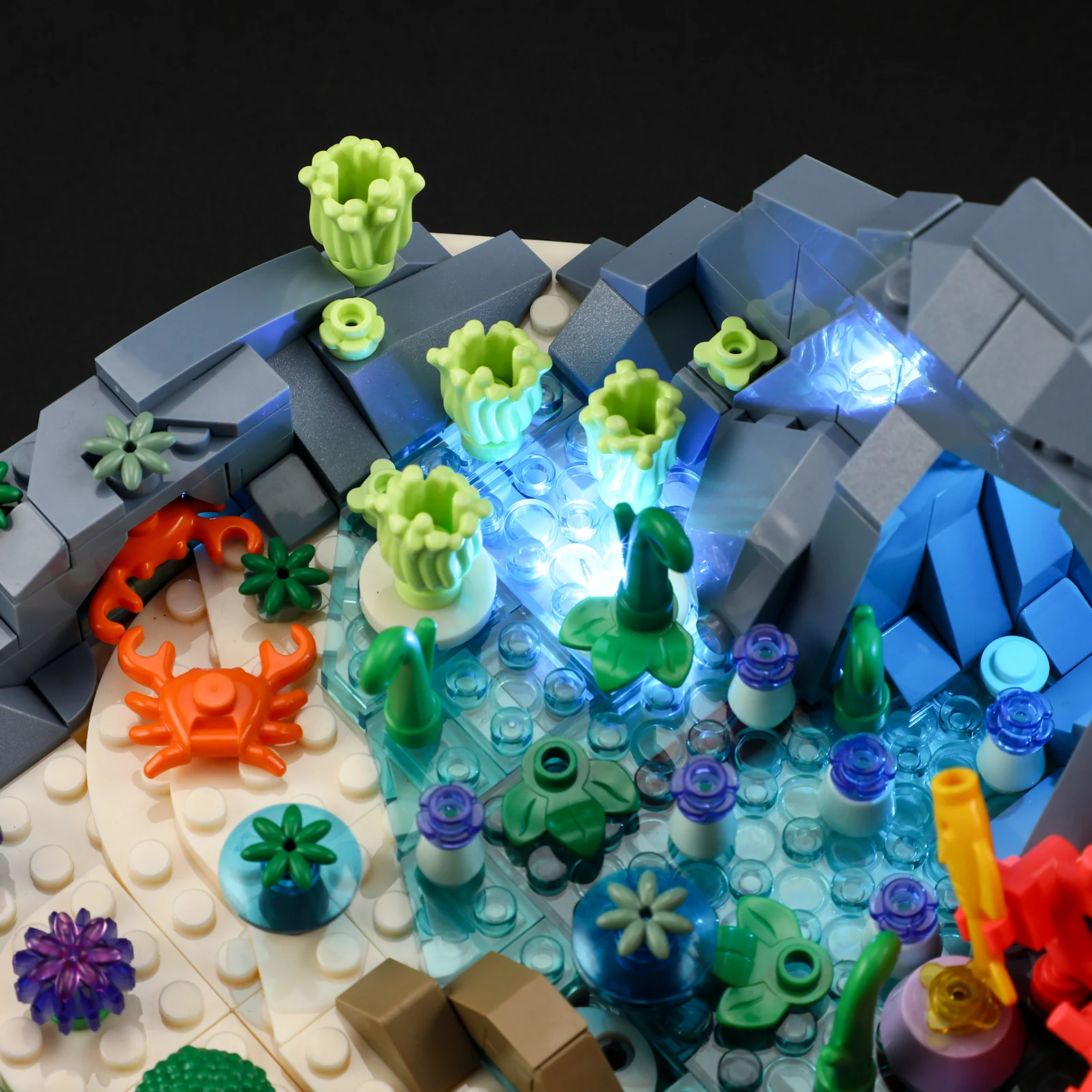 Turtle Reef Dream - Image 5