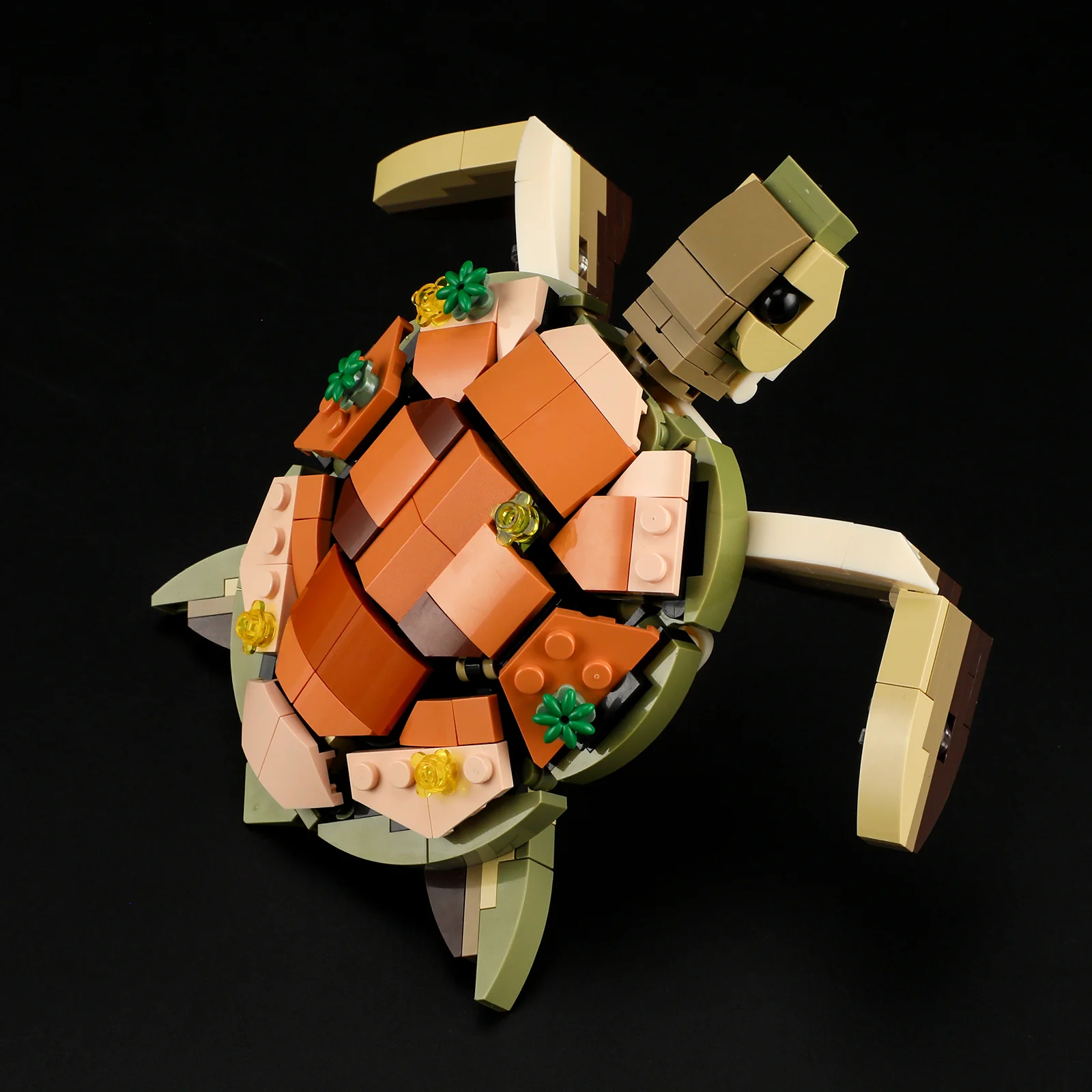 Turtle Reef Dream - Image 7
